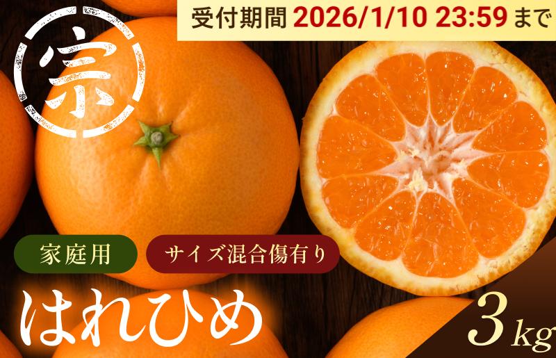 
            【先行予約】はれひめ（家庭用）約3kg【K003590K3】
          