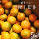 【ふるさと納税】 熊本市産 厳選 極上蜜柑 5kg みかん 蜜柑 ミカン 柑橘 フルーツ 果物 くだもの 果実 熊本市 熊本県 送料無料 【2024年9月上旬～2025年1月下旬発送予定】