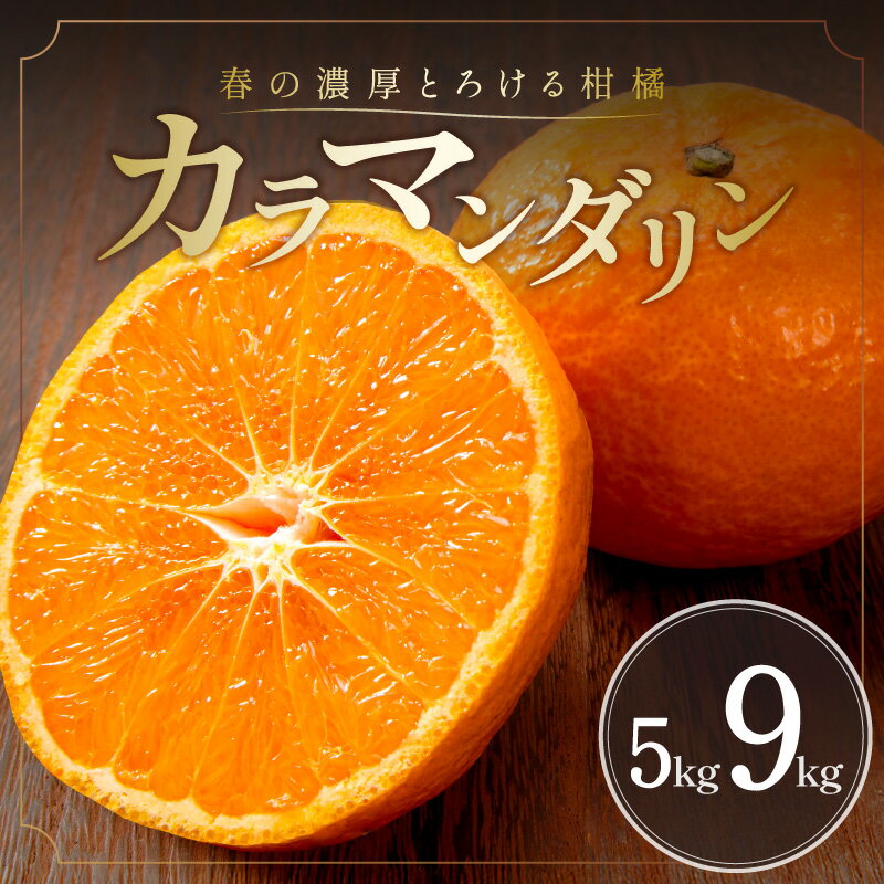 【ふるさと納税】【4月中旬より発送】濃厚とろ旨！ ミカファーム みかん カラマンダリン 5kg 9kg 選べる 容量 三重県御浜町産【ジューシーかつ濃厚な味わいの高級柑橘】