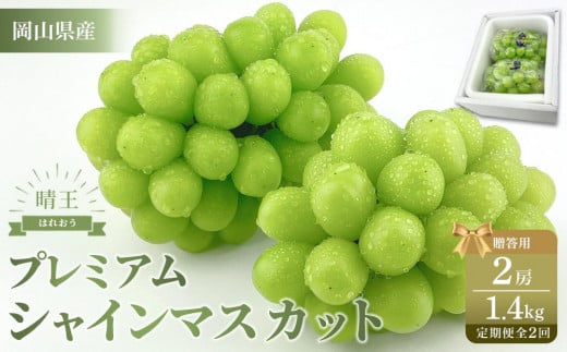 【定期便 全2回】2026年 プレミアム　シャイン　マスカット  晴王 2房 約1.4ｋg  2回定期便　９月・１０月に１回づつお届け　岡山県産　船穂産　赤秀品  種無し 皮ごと食べる フレッシュ 贈答用　ハレノフルーツ
