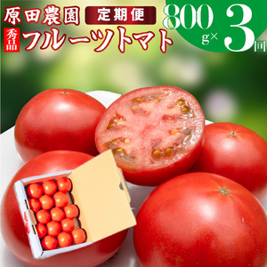 【ふるさと納税】 定期便3回【 2025年12月下旬～順次発送 】＜フルーツトマト 原田農園 約800g 小箱＞桃太郎 【常温】送料無料 