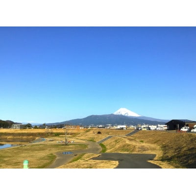 
川の駅　伊豆ゲートウェイ函南　バーベキュー利用券【1218867】
