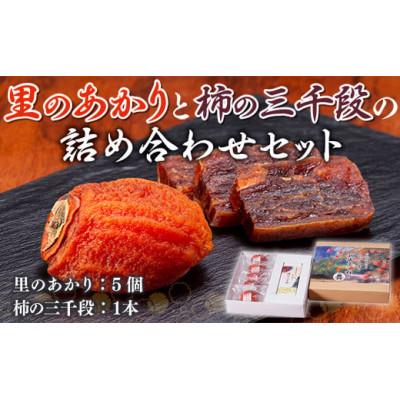 ふるさと納税 美里町 美里町産の干し柿　里のあかりと柿の三千段詰め合わせセット
