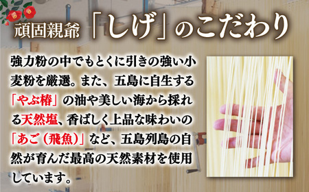 【自慢の贈答好適品！】五島手延べうどん 詰め合わせ B セット うどん 乾麺 麺 五島うどん【中本製麺】[RAO002]