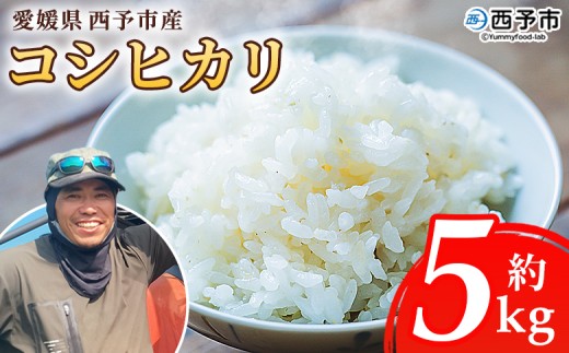 【先行予約】＜令和8年産 愛媛県西予市産 コシヒカリ 5kg＞ 国産 愛媛県産 宇和町産 こしひかり お米 米 コメ こめ 白米 精米 ご飯 新鮮 5キロ 特産品 もとき農園 愛媛県 西予市【常温】『2026年10月・11月頃から順次発送予定』