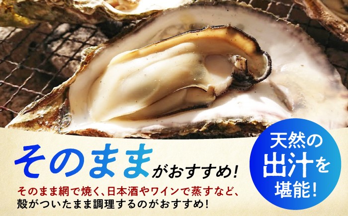 牡蠣 殻付き 殻 かき カキ 冷凍 広島牡蠣 オイスター kaki 広島県産