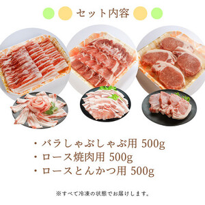 【ブランド豚】柔らかジューシーな肉質!「和豚もちぶた」贅沢3種セット【配送不可地域：離島】【1476933】