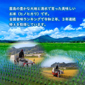 【数量限定・先行受付】宮崎県産ヒノヒカリ 玄米パックごはん 150g×10パック 特A地区 高原町で育ったおいしいヒノヒカリのレンチンご飯 [お米 レンジアップ 時短調理 レトルト 一人暮らし 令和5