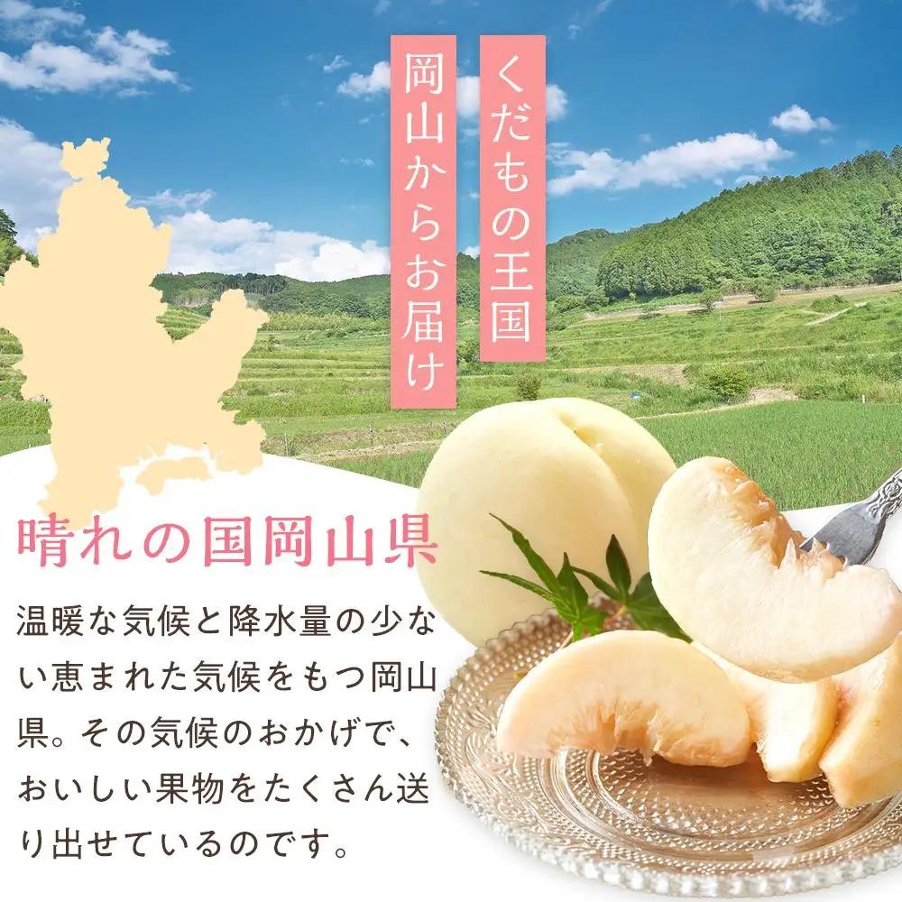 桃 2027年 清水 白桃 6～8玉入 約2.0kg 岡山市一宮地区産 もも モモ フルーツ 果物 ギフト
