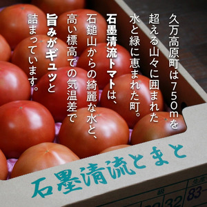 トマト 贈答にもおすすめ そのままでも 美味しい 【石墨清流トマト】糖度9～11度 久万高原町　※離島への配送不可