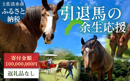 引退馬 余生支援 100,000,000円コース 返礼品なし【R01535】