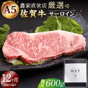 【ふるさと納税】【全12回定期便】佐賀牛 A5 サーロイン ステーキ 600g ( 300g 2枚 ) 【山下牛舎】 [HAD068]