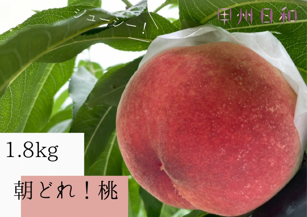 
            農家直送！朝採れ桃 約1.8kg【2025年発送】（KSB）B15-175【桃 もも モモ 令和7年発送 期間限定 山梨県産 甲州市 フルーツ 果物】
          