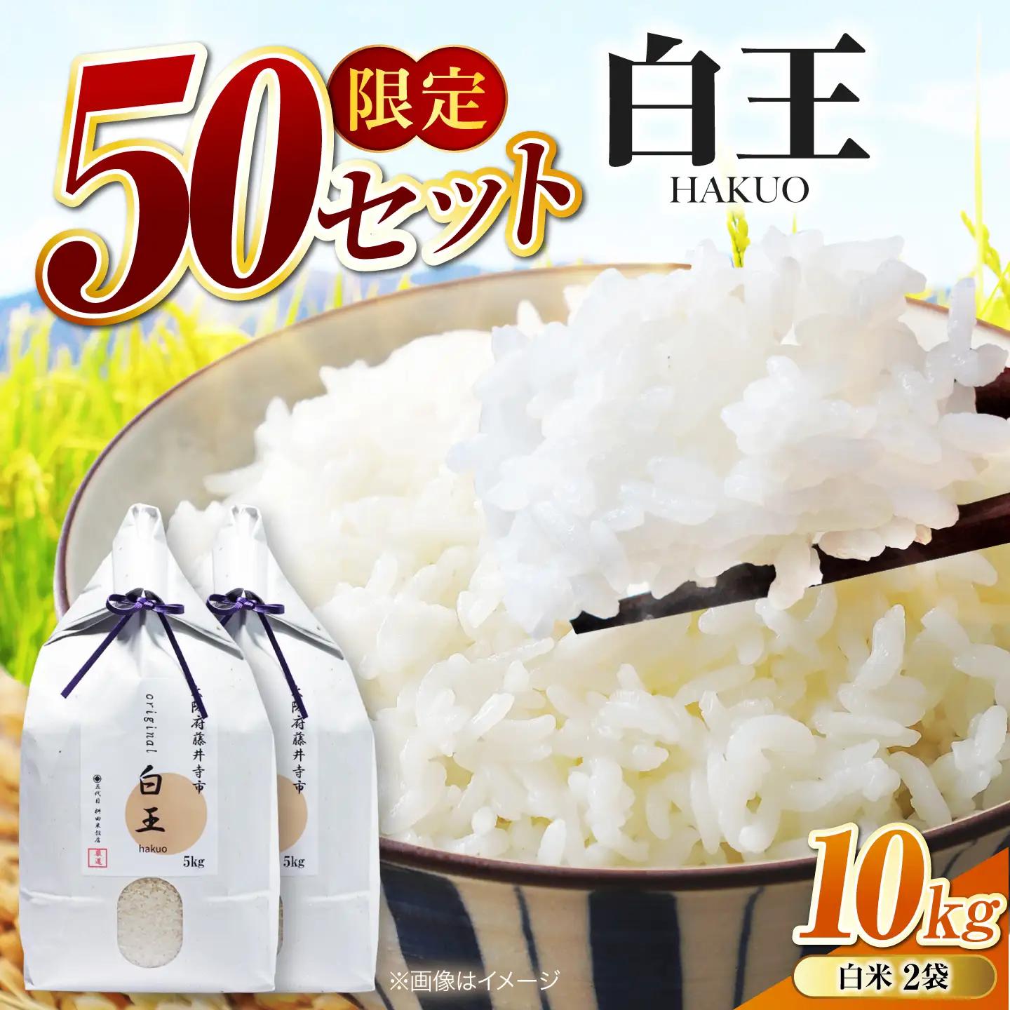 お米 白王(HAKUO) 10kg（5kg×2個） お米 BLAZ003