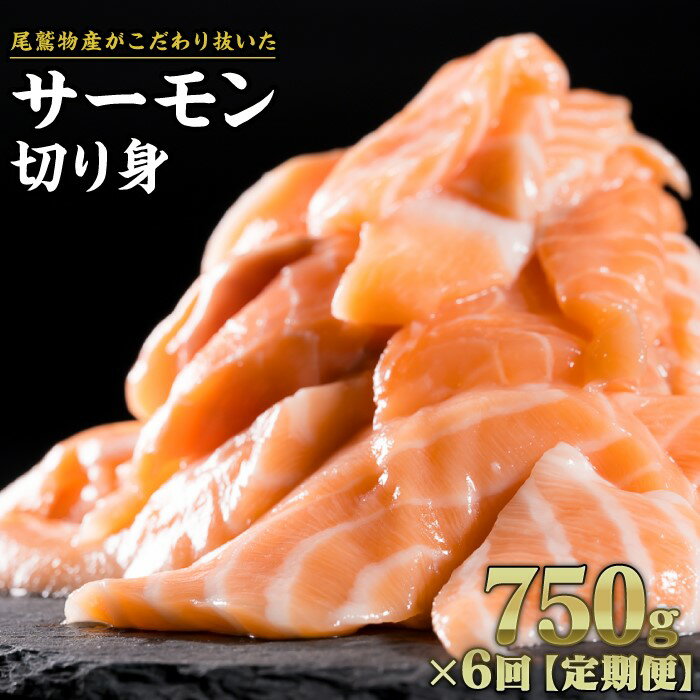 【ふるさと納税】【定期便6回】生食用 サーモン 切り落とし 750g (150g ×5パック) 小分け 鮭 サーモン アトランティックサーモン さけ シャケ しゃけ sake カルパッチョ ソテー 人気 高級 大満足 生食用 刺身 お刺身 刺し身 海鮮 冷凍 OB-27