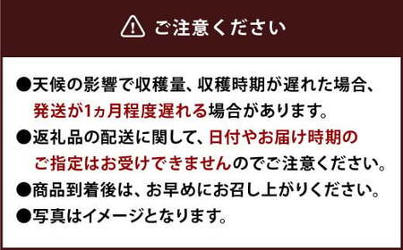 【特別栽培】うるう農園 冷凍あまおう 1kg あまおう イチゴ いちご 苺 フルーツ 果物【2027年1月上旬発送開始】