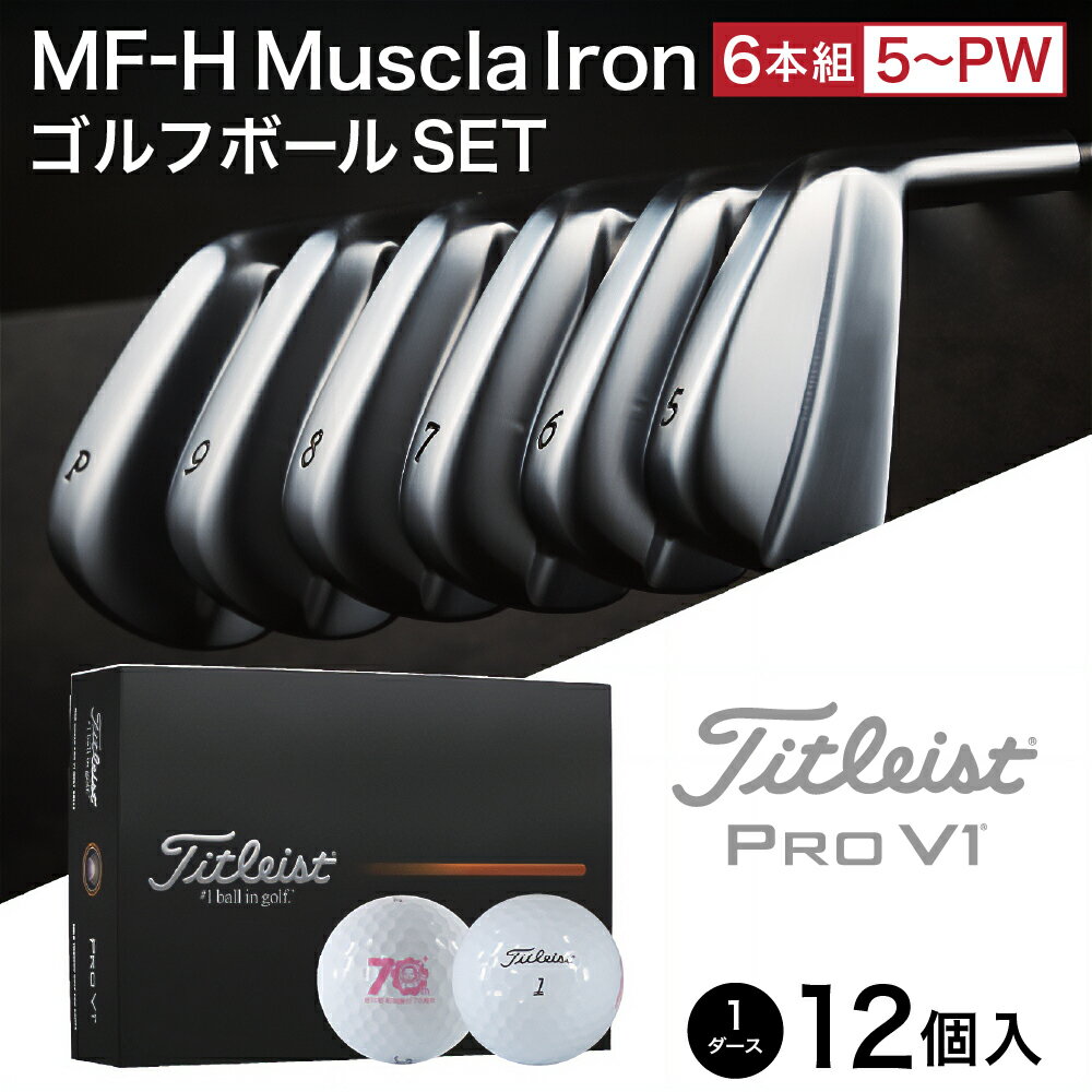 【ふるさと納税】キャビティアイアンCK-H（＃5-PW）＆ ゴルフボールV1 （1ダース） / 軟鉄鍛造 フォージド アイアン 国産 ゴルフクラブ ゴルフテック叡智 ゴルフ用品 310BD01S.