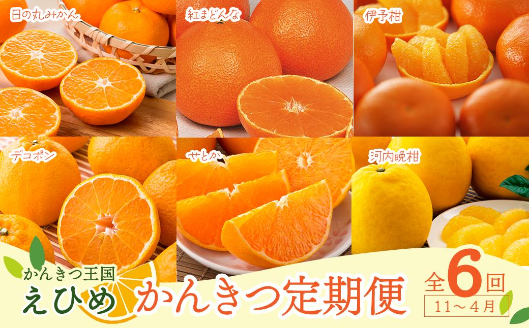 
                  （紅まどんなも届く！）愛媛みかん 定期便 【えひめ かんきつ定期便 6回 】 愛媛県産 【先行予約・11月～４月お届け】｜ 紅まどんな かんきつ 柑橘 愛媛 みかん 定期便 温州みかん 紅まどんな 伊予柑 デコポン せとか 河内晩柑 果物 くだもの フルーツ 愛媛県 西条市 
                