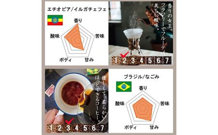 スペシャルティコーヒー6ヵ国　ワールドトラベルセット コーヒー（豆）