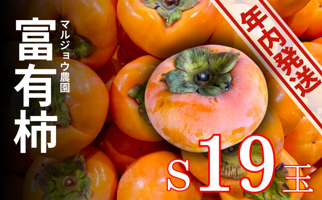 
            【年内発送】令和7年産マルジョウ農園の家庭用富有柿 S 19個  | 柿 かき カキ フルーツ 果物 くだもの 年内配送 年内お届け 年内 12月
          