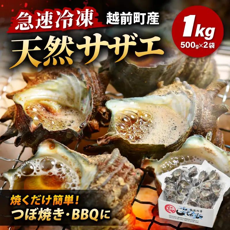 越前町産 天然 サザエ 1kg （500g×2袋）【サザエ 海鮮】 [e15-a065]