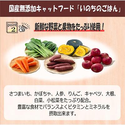 ふるさと納税 泉佐野市 【毎月定期便】国産 無添加 キャットフード「いのちのごはん」1kg×全6回 099Z175 |  | 02