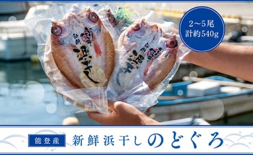 
            【復興支援】 能登産 新鮮浜干しのどぐろ
          