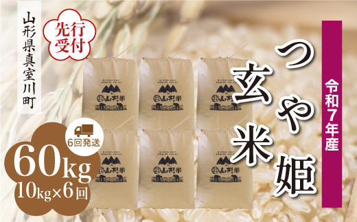 ＜令和7年産米先行受付＞ 真室川町産 特別栽培米 つや姫 【玄米】 60kg定期便 （10kg×6回発送）＜配送時期指定可＞