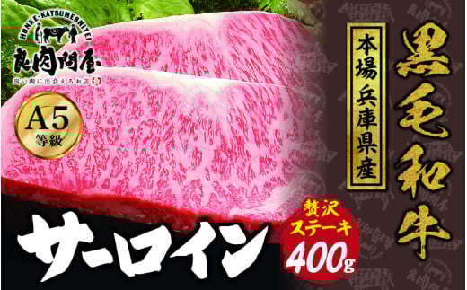 黒毛和牛 サーロインステーキ 400g（200g×2袋）