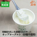 砂糖不使用 プレーンヨーグルト 20個 飛騨の牛乳屋 牧成舎 生乳100％ 朝食におすすめ 無糖ヨーグルト プレーンヨーグルト 砂糖不使用 生乳 ヨーグルト 乳製品