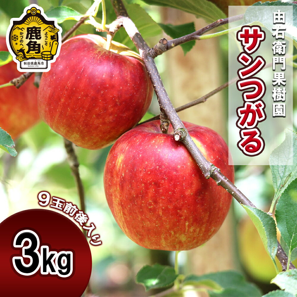 【ふるさと納税】 《 先行予約 》 完熟 りんご サンつがる 約3kg ( 9玉前後 ) 秋田県産 鹿角りんご 国産 東北 果汁 旬 県産りんご お歳暮 贈答品 ふるさと 贈り物 お見舞い グルメ ギフト 故郷 秋田 あきた 鹿角市 鹿角 送料無料 【由右衛門果樹園】●2025年9月中旬発送開始