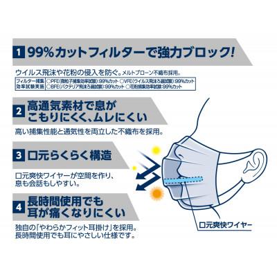 ふるさと納税 さくら市 ハイパーブロックマスク ムレ爽快 ふつうサイズ 30枚×4箱 |  | 01