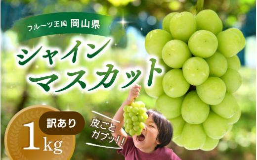 
                  【2026年先行予約】訳ありシャインマスカット 除草剤不使用 訳あり 1kg以上 ｜ 訳ありシャインマスカット 果物 フルーツ マスカット 種無し 先行予約 くだもの 先行予約 ブドウ 葡萄 ぶどう 果物 フルーツ マスカット 岡山 訳あり ますかっと くだもの 先行予約 ブドウ 葡萄 マスカット ぶどう 訳あり 種無し 産地直送 岡山  訳ありシャインマスカット 【hana035-02】
                