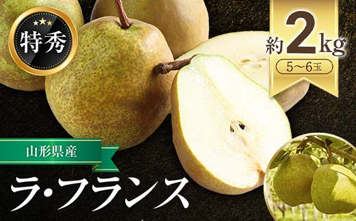 【令和7年産先行予約】 JA ラ・フランス 約2kg (5～6玉 特秀) 《令和7年11月上旬～12月上旬発送》 『JA山形おきたま』 洋梨 果物 フルーツ 山形県 南陽市 [1159-R7]