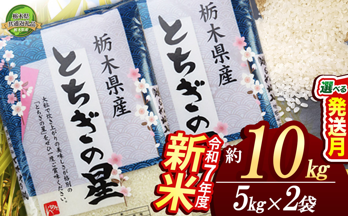 
            【栃木県共通返礼品】【先行予約】とちぎの星 10kg（5kg×2袋） | 定期便あり 米 こめ コメ kome 白米 精米 お米 とちぎのほし トチギノホシ ﾄﾁｷﾞﾉﾎｼ 粘り 弾力 冷めても美味しい 丼もの カレー 新米 栃木米 令和7年度米 令和7年度 2025年度米 2025年度 ブランド米 栃木県 特産品 送料無料 栃木県 下野市 しもつけ市
          