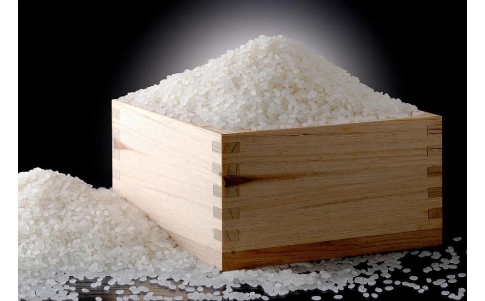 【令和6年産 新米】【魚沼産コシヒカリ 玄米10kg（5kg×2袋）×全6回】雪解け水がお米を育む、津南町特A地区の美味しいお米。