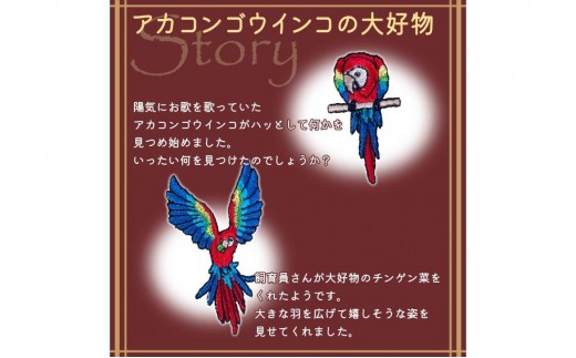 おはなし靴下 ギフトボックス アカコンゴウインコ キッズ アイボリー