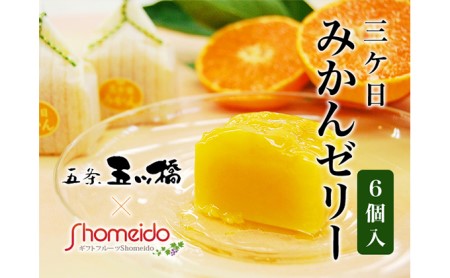 三ヶ日みかんゼリー6個セット【配送不可：北海道・沖縄・離島】 お菓子 ジュレ 