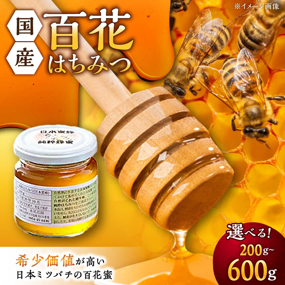【ふるさと納税】【選べる内容量】日本蜜蜂 百花 はちみつ 純粋蜂蜜 200g / 300g / 400g / 600g /永尾忠則 [UAS005] ハチミツ 蜂蜜 日本ミツバチ 国産