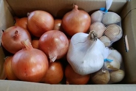 【淡路夢ファーム】　ジャンボニンニク・玉ねぎセット５kg