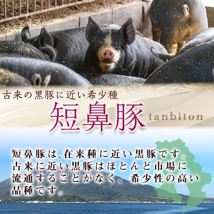 【無添加】【ギフト対応】「福別府農場」 鹿児島黒豚炭火焼豚 約200g a0-373