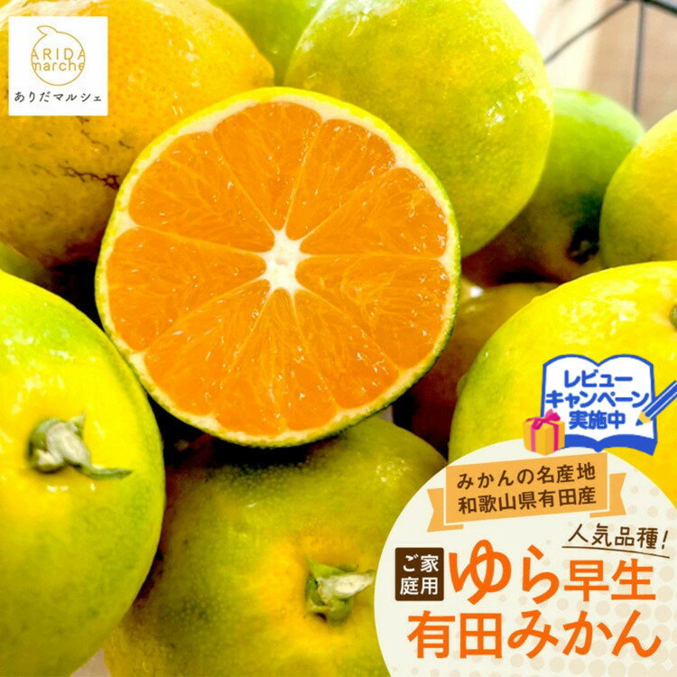 【ふるさと納税】【先行予約】【選べる内容量】ゆら早生有田みかん（ご家庭用）ふるさと納税 みかん ※2025年10月上旬～10月下旬頃に順次発送予定 ※北海道・沖縄・離島への配送不可