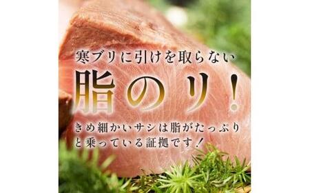 北海道 知床羅臼産 天然ぶり刺身 500g (250g×2パック) 魚 海産物 魚介 魚介類 ブリ 鰤 刺身 ご飯のお供 冷凍 生産者 支援 応援