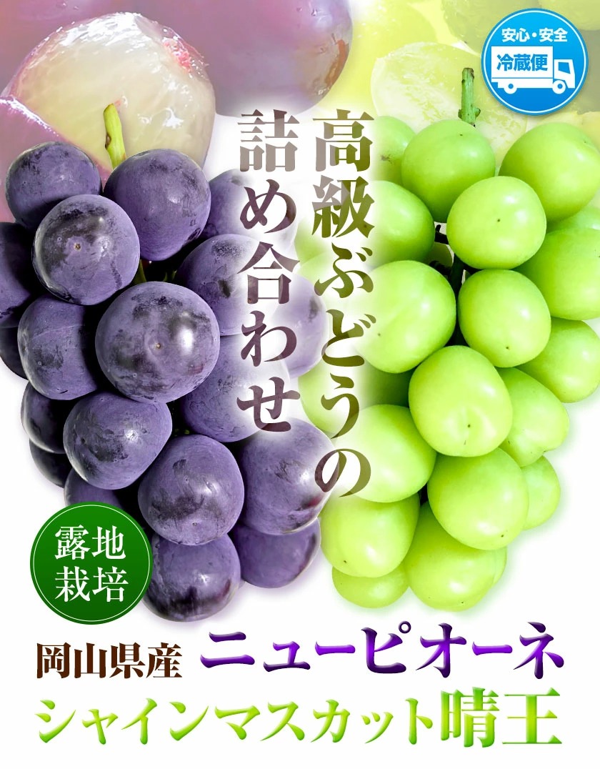 岡山県産ニューピオーネ＆シャインマスカット「晴王」 Cセット （1房580g以上）先行受付《9月上旬-10月下旬頃》【配送不可地域あり】---H-87---