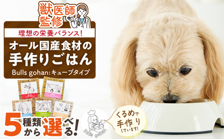 ペットフード 無添加ドッグフード・ブルズごはんCUBEタイプ 300g×1袋(馬・豚・鹿・鶏・魚の中から1つ)_CUBE型 20個入×1袋 無添加ドッグフード 1袋300g(馬肉・豚肉・鹿肉・鶏肉・魚の中から1つ) 国産 手作り アレルギー ウェット 子犬 シニア犬 冷凍 ヒューマングレード 老犬 小型犬 お試し 選べる ペットフード ブルズごはん 〔Pf001〕