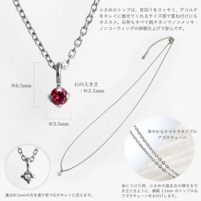 ふるさと納税 弥彦村 純チタンペリドットの一粒石ペンダント 誕生石 ネックレス 変色しにくい ギフト 新潟県 弥彦村 |  | 03