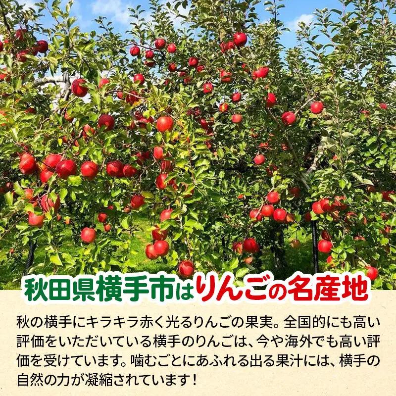 【先行受付】12月中旬より発送 サンふじ 【特秀】 約10kg（28～40玉）りんご 林檎