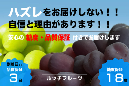 【糖度18度保証付】富士の輝・シャインマスカット食べ比べ 合計約2.1kg 2～5房 FN-Limited 104-020-FN | 【数量限定】旬の美味しいフルーツだけをお届けします【ルッチ Rucci】産地直送 山梨県 笛吹市 果物 葡萄 ぶどう 黒ブドウ 黒系 黒いシャインマスカット 贈答 人気 ギフト