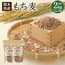 【ふるさと納税】もち麦 1kg×2個 計2kg セット 麦 ダイシモチ 食物繊維 純国産 熊本県産 水俣市産 送料無料