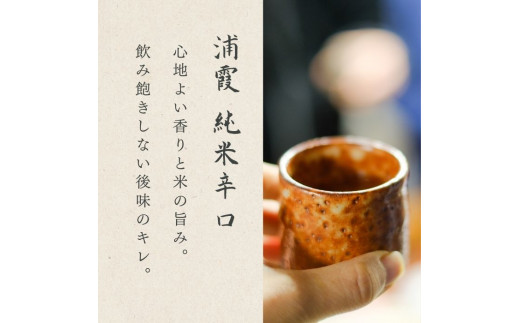 【4】宮城の地酒 720ml 2本セット《想～kokyo～・浦霞 純米辛口》 飲み比べ 純米大吟醸 お酒 辛口 佐浦 新澤醸造店 蔵の華 100％使用 四合瓶 宮城県 東松島市 オンラインワンストップ